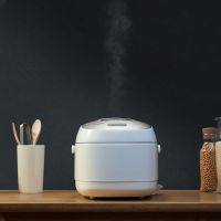产地日本 进口东芝（TOSHIBA）5L家用IH电饭煲RC-18RMC（白色）