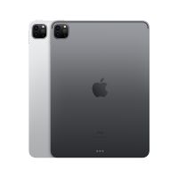 Apple iPad Pro 11英寸 WLAN版 平板电脑（2021年款）